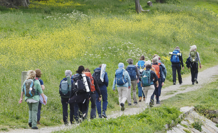 El Camiño Inglés está a menos de 70 peregrinos de batir el récord del año pasado