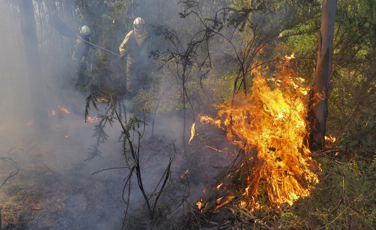 Incendios forestales en Magalofes y Fragas do Eume