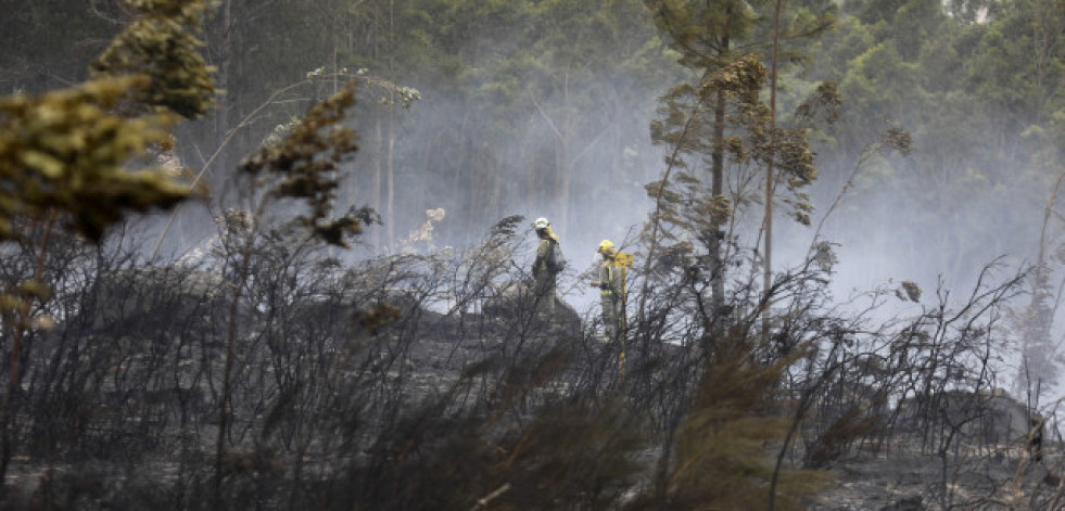 Un incendio calcina más de 20 hectáreas en A Cañiza